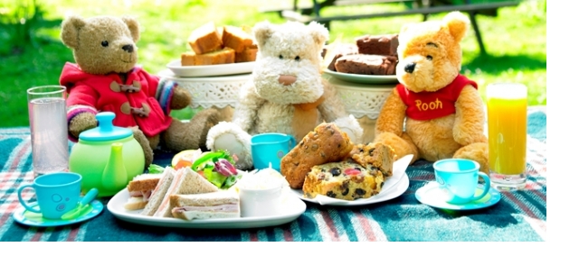 teddy bears picnic story